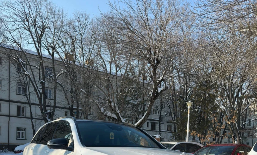 Mercedes-Benz GLC 300 2019 Hybrid Electric/Gasoline Automatic Image 5