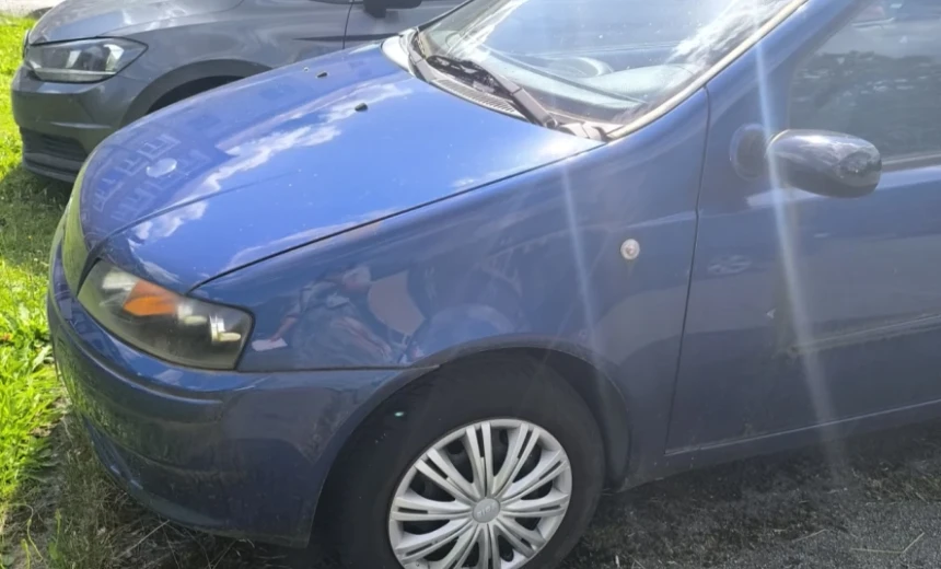 Fiat Punto 2002 Gasoline Manual Image 0