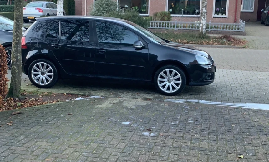 Volkswagen Golf 2007 Gasoline Manual Image 0