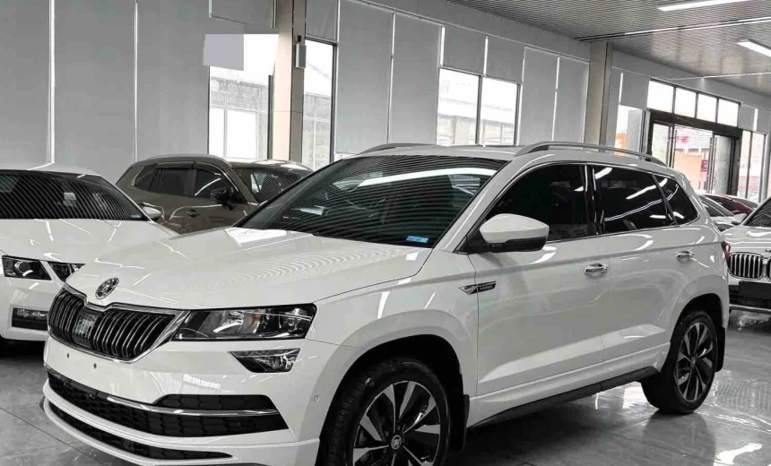 Skoda Karoq 2023 Gasoline Automatic Image 0