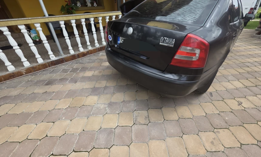 Skoda Octavia 2007 Gasoline Manual Image 1