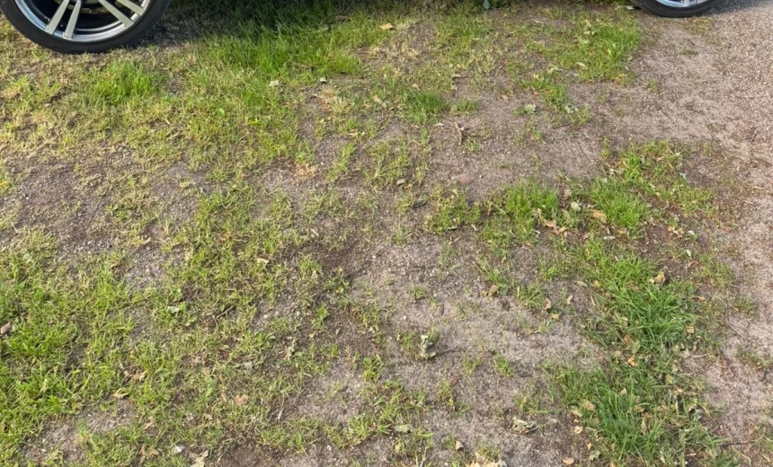 Porsche Cayenne 2010 Gasoline Automatic Image 2