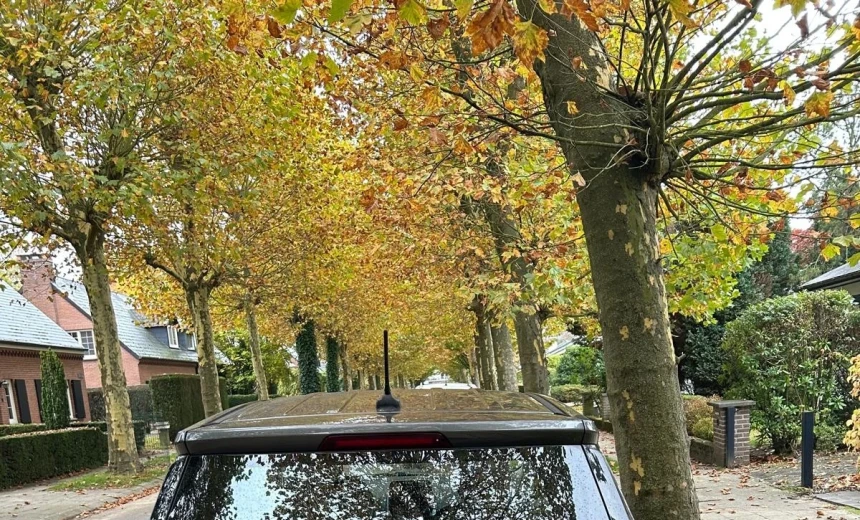 Ford EcoSport 2020 Gasoline Manual Image 2