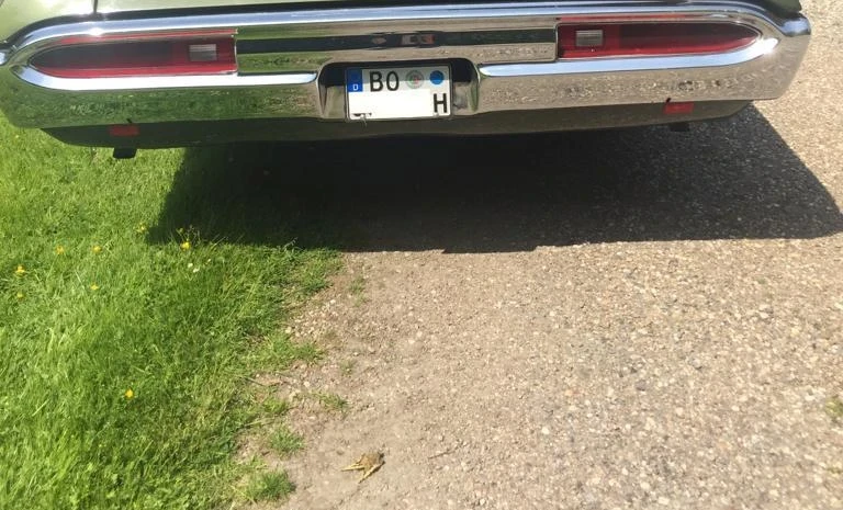 Pontiac Catalina Safari 1969 Gasoline Automatic Image 2