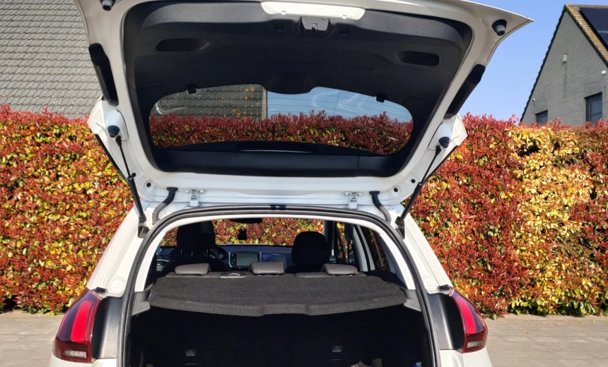 Peugeot 2008 2019 Gasoline Automatic Image 5