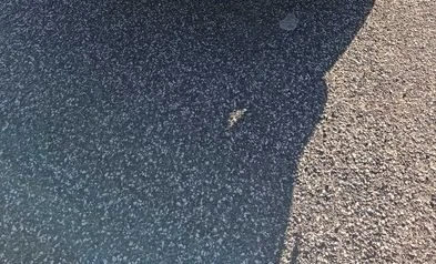 Nissan NV400 2020 Diesel Automatic Image 4