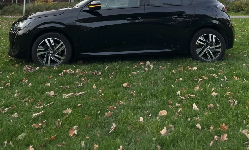 Peugeot 208 2020 Gasoline Manual Image 7