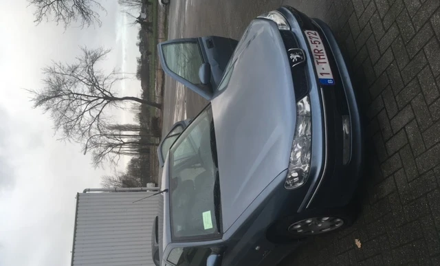 Peugeot 406 1999 Gasoline Manual Image 2