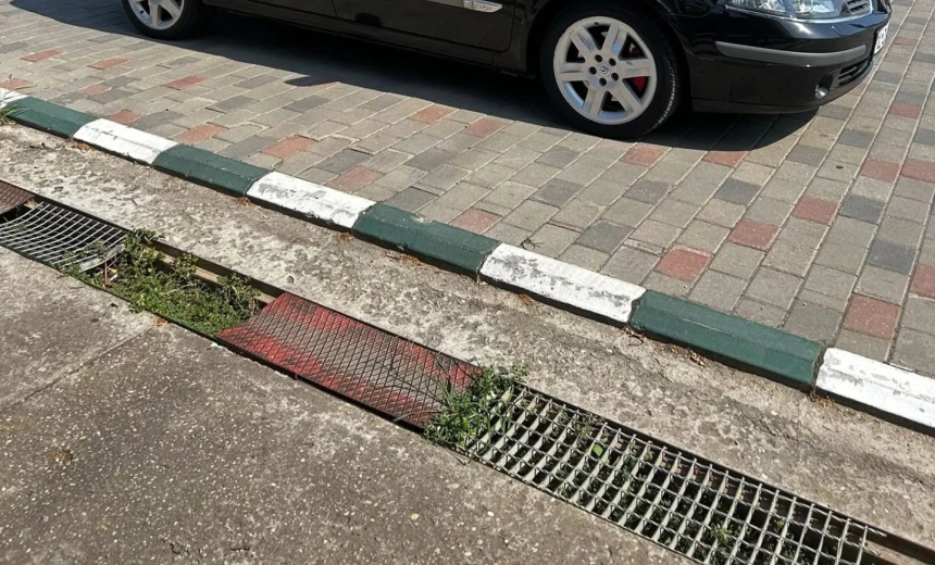 Renault Laguna 2006 Gasoline Manual Image 1