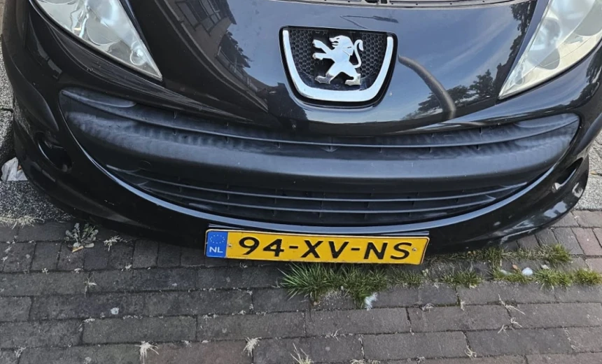 Peugeot 207 2007 Gasoline Manual Image 4