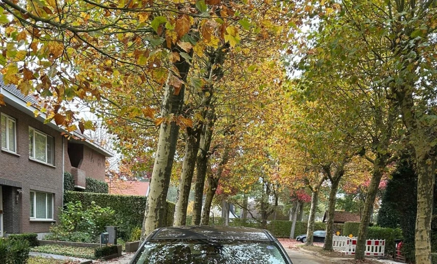 Ford EcoSport 2020 Gasoline Manual Image 0