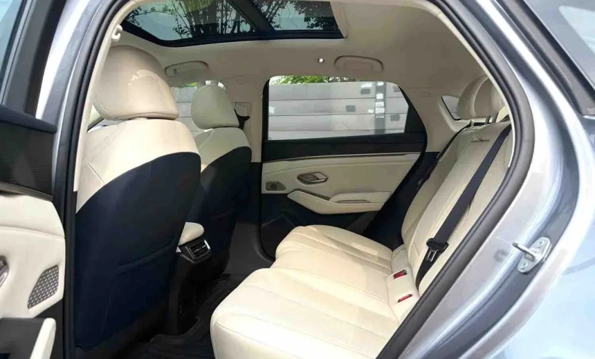 BYD Others 2024 Hydrogen Automatic Image 9