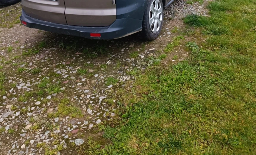 Ford Courier 2018 Gasoline Manual Image 0