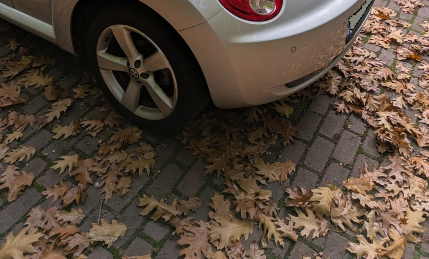 Volkswagen New Beetle 2011 Gasoline Manual Image 3