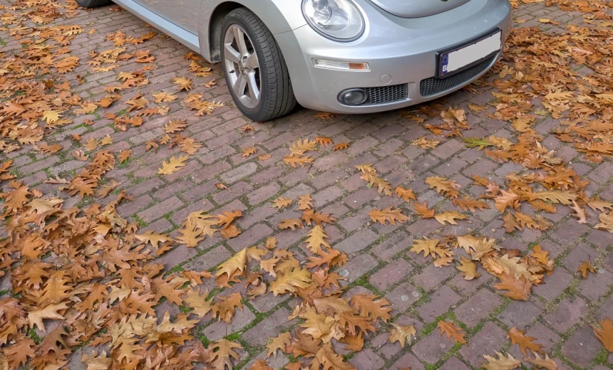 Volkswagen New Beetle 2011 Gasoline Manual Image 0