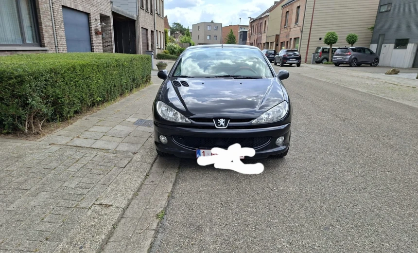 Peugeot 206 2003 Gasoline Manual Image 1