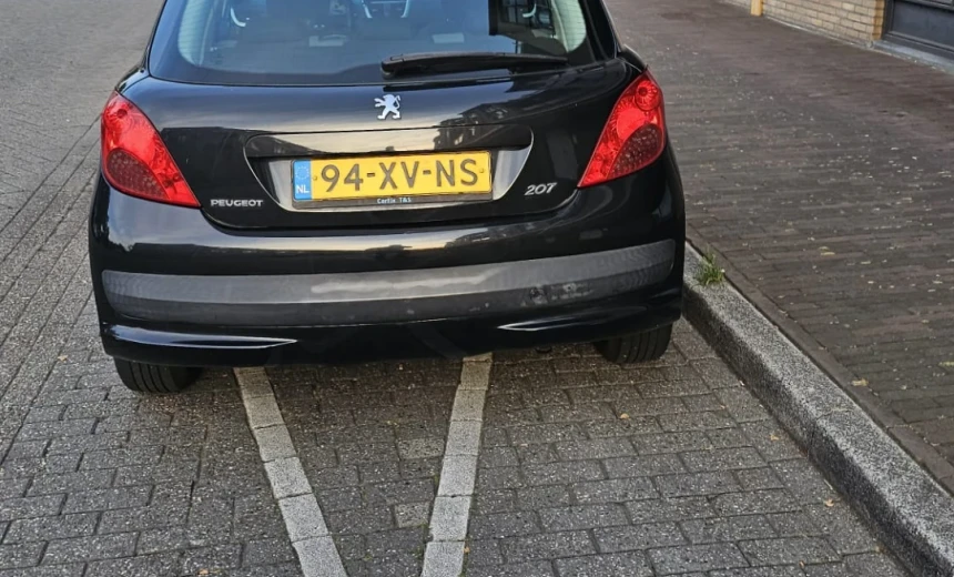 Peugeot 207 2007 Gasoline Manual Image 2