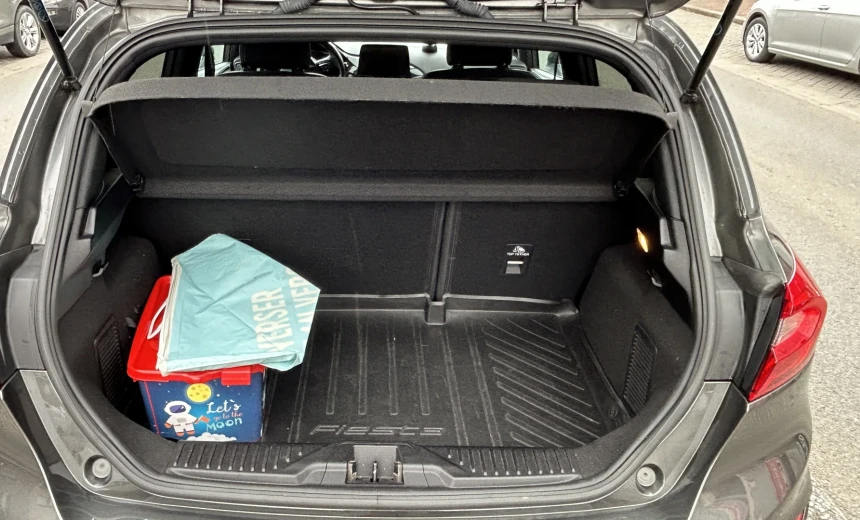 Ford Fiesta 2020 Gasoline Automatic Image 3