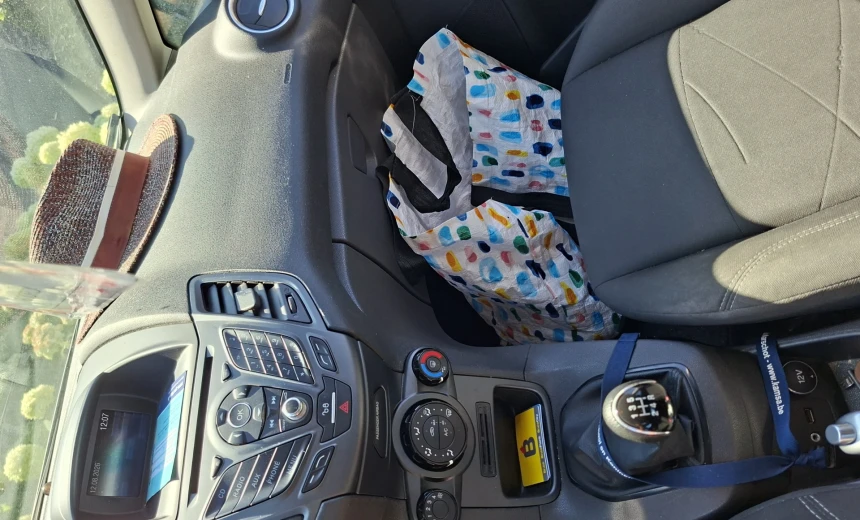 Ford Fiesta 2016 Gasoline Manual Image 4