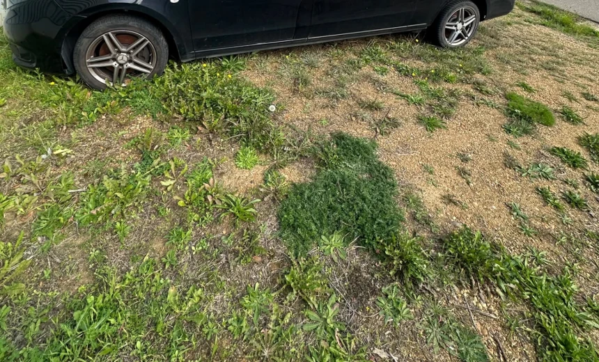 Mercedes-Benz Vito 2019 Diesel Automatic Image 0