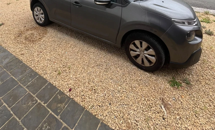 Citroen C3 2018 Gasoline Manual Image 4