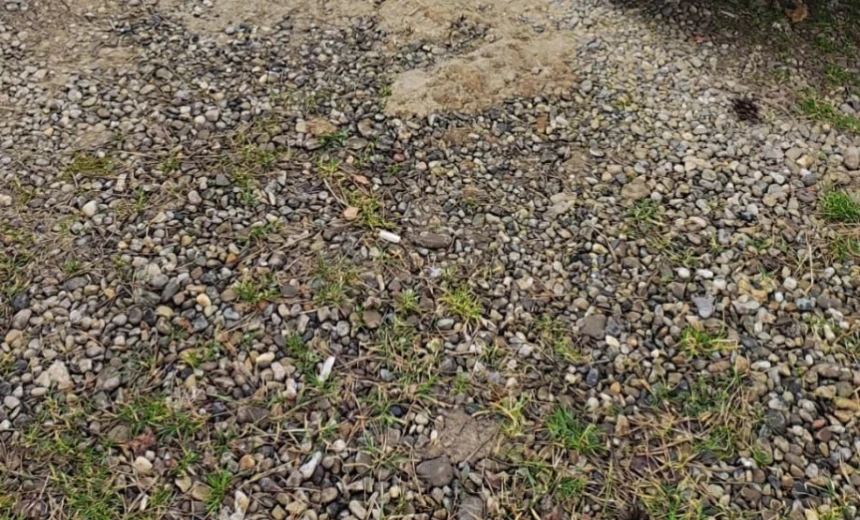 Suzuki Grand Vitara 2006 Gasoline Manual Image 3