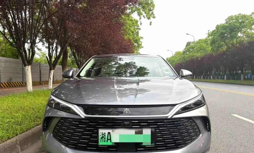BYD Others 2024 Hydrogen Automatic Image 1