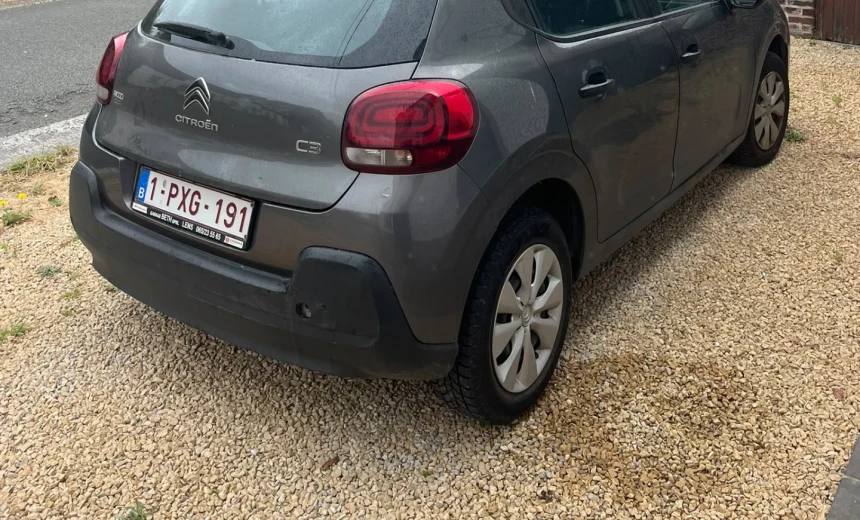 Citroen C3 2018 Gasoline Manual Image 8