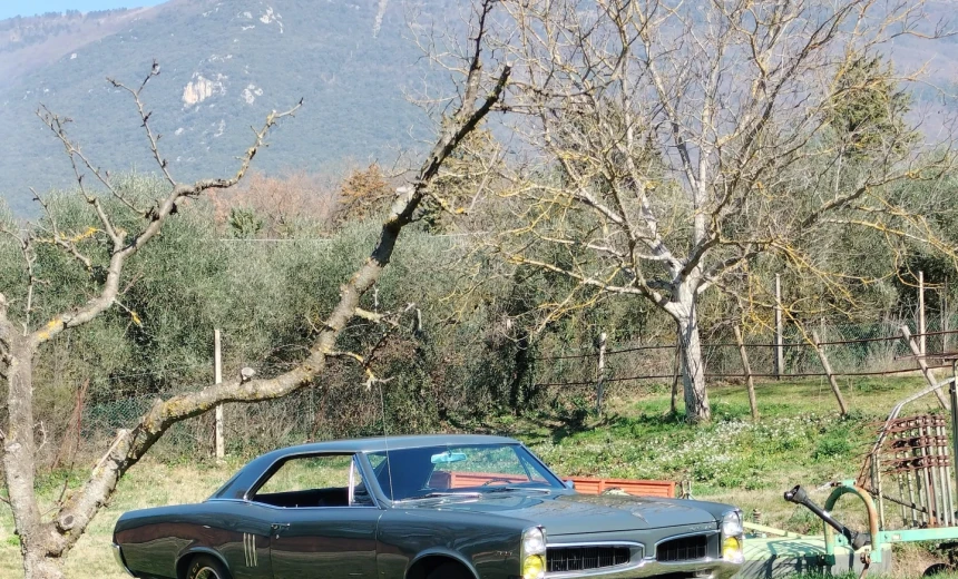 Pontiac Others 1967 Gasoline Manual Image 2