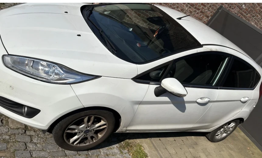 Ford Fiesta 2015 Gasoline Manual Image 0