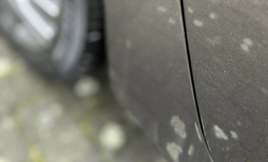 Peugeot 208 2021 Gasoline Manual Image 8