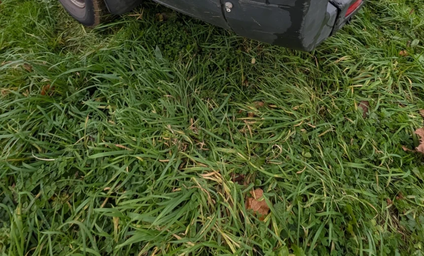 Ford Transit 2015 Diesel Manual Image 5