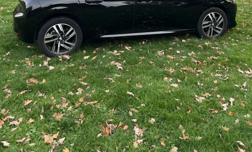 Peugeot 208 2020 Gasoline Manual Image 1