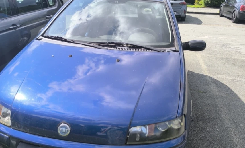 Fiat Punto 2002 Gasoline Manual Image 2