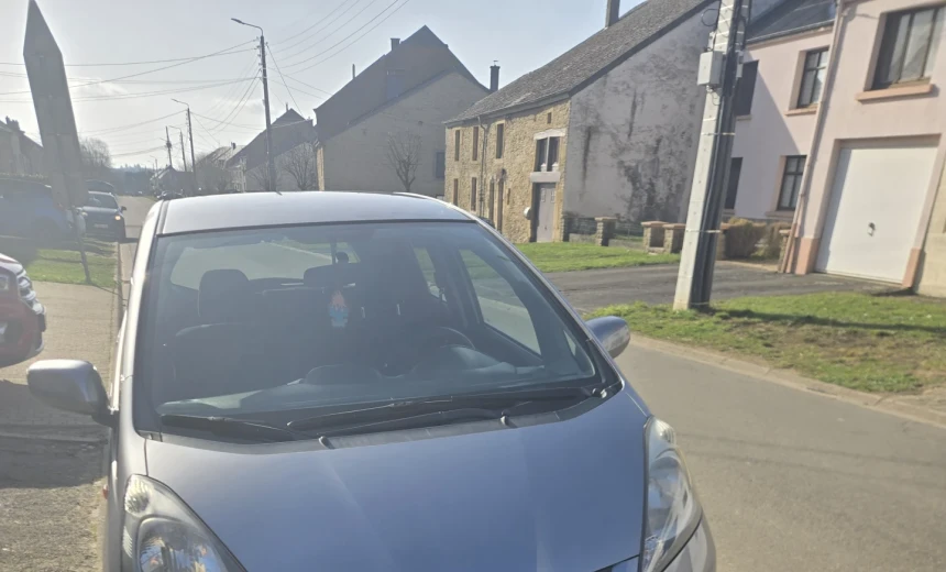 Honda Jazz 2010 Gasoline Manual Image 1