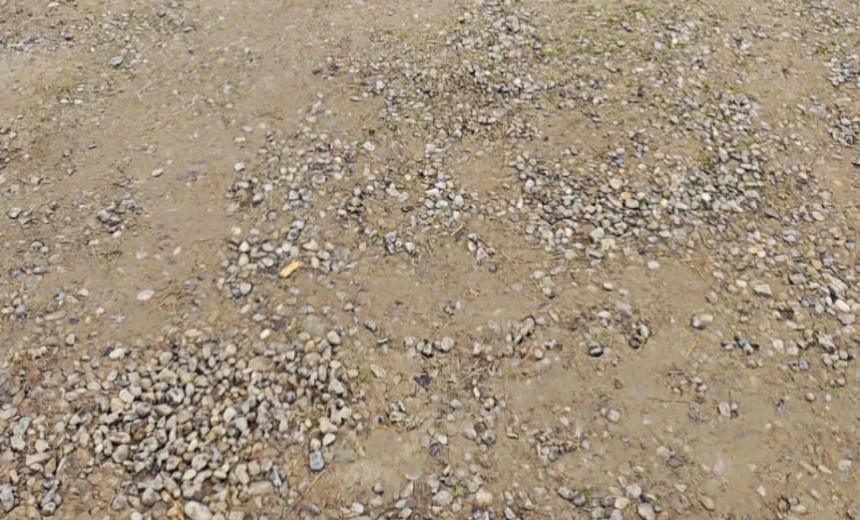 Suzuki Grand Vitara 2006 Gasoline Manual Image 4