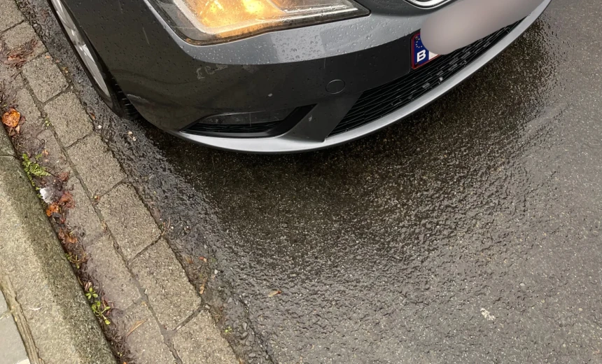 SEAT Ibiza 2013 Gasoline Manual Image 0