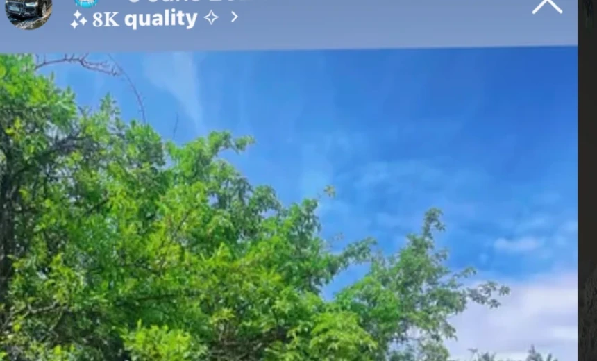 Ford Focus 2023 Gasoline Manual Image 4