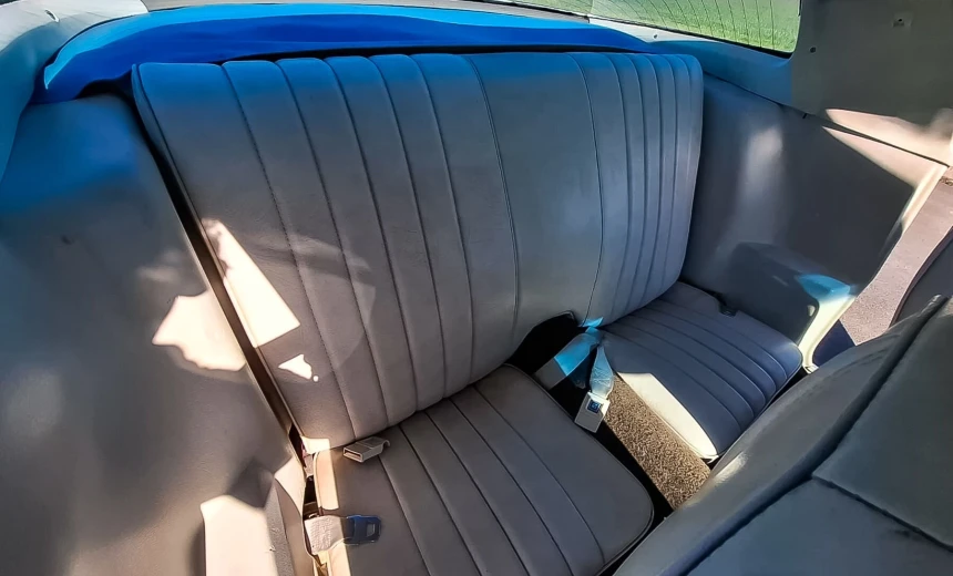 Pontiac Trans Am 1979 Gasoline Automatic Image 5