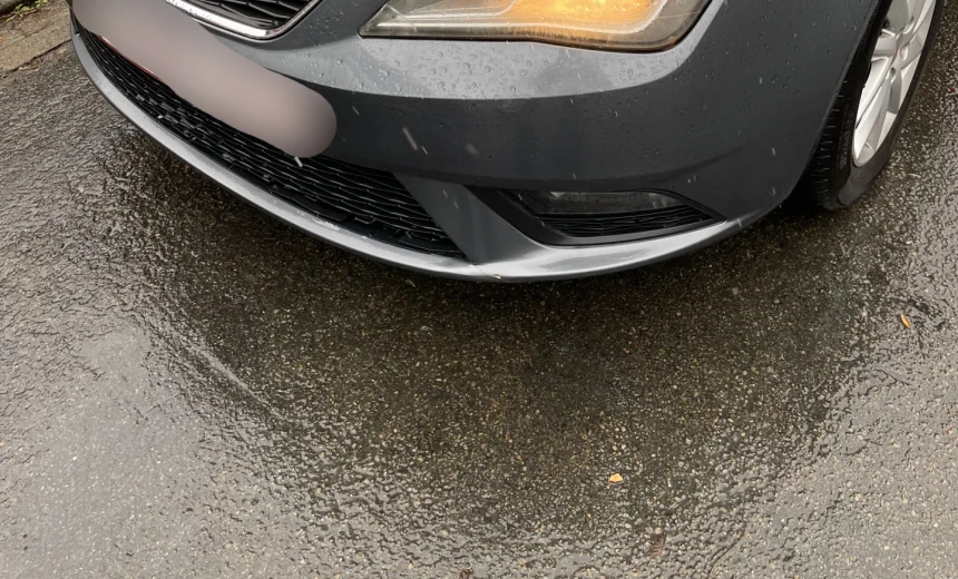 SEAT Ibiza 2013 Gasoline Manual Image 1