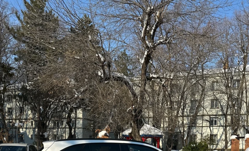 Mercedes-Benz GLC 300 2019 Hybrid Electric/Gasoline Automatic Image 1