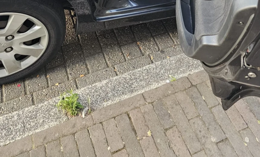 Peugeot 207 2007 Gasoline Manual Image 3