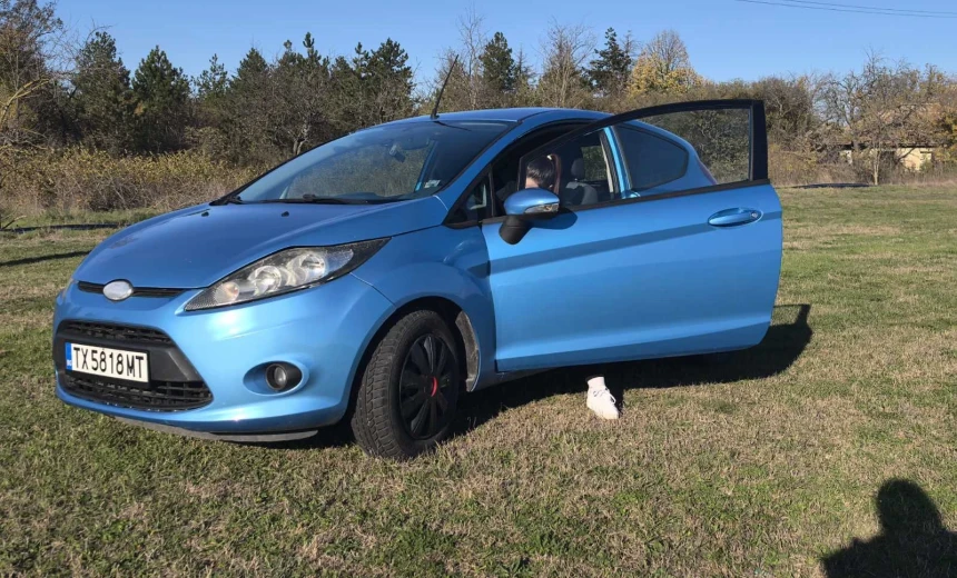 Ford Fiesta 2009 Gasoline Manual Image 2