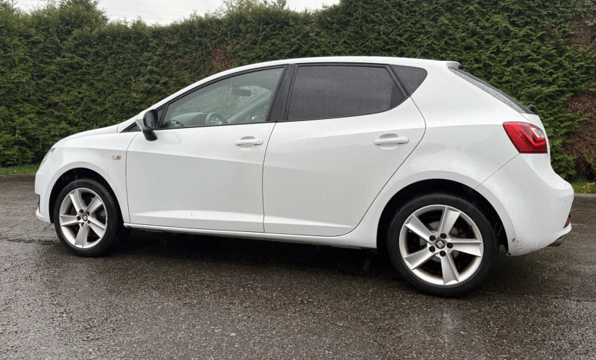 SEAT Ibiza 2016 Gasoline Manual Image 2