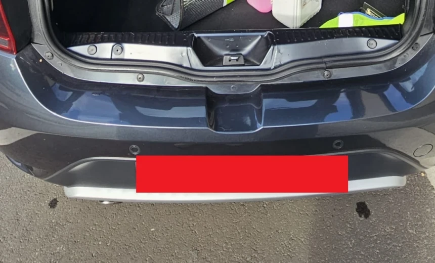 Dacia Sandero 2018 Gasoline Manual Image 4