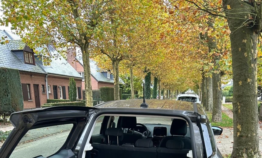 Ford EcoSport 2020 Gasoline Manual Image 8