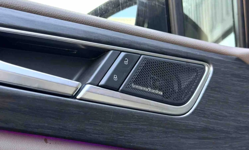 Volkswagen Viloran 2024 Gasoline Automatic Image 9
