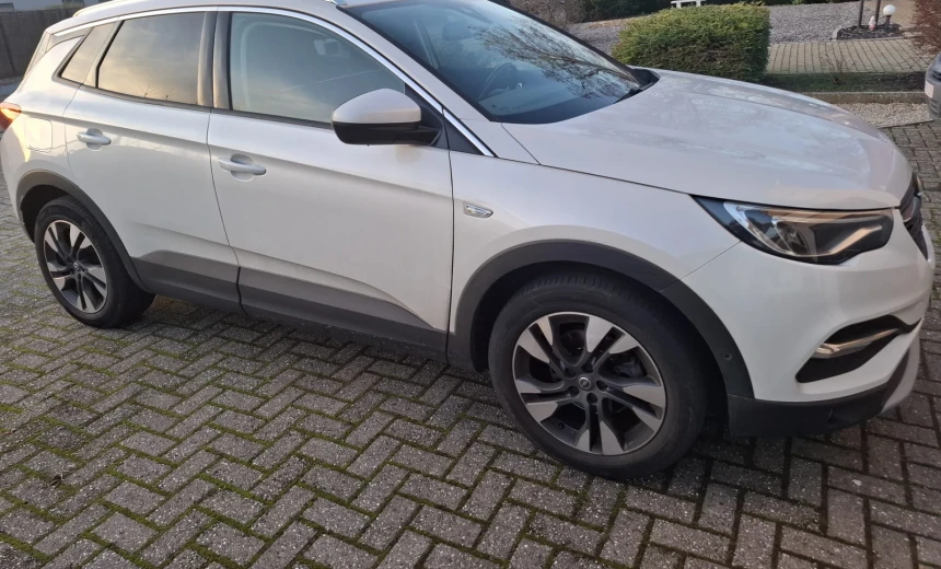 Opel Grandland X 2019 Gasoline Automatic Image 4