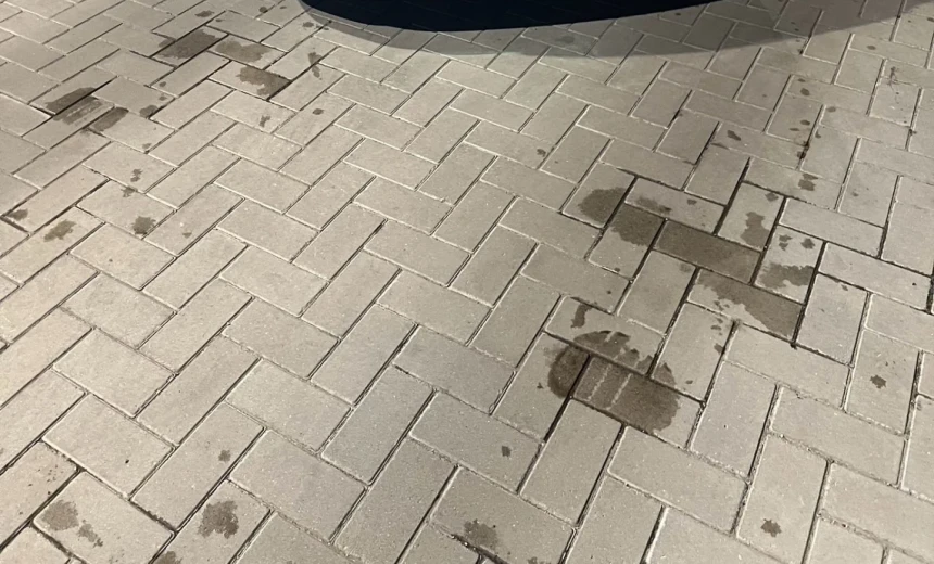 Volkswagen Golf 2021 Gasoline Automatic Image 2