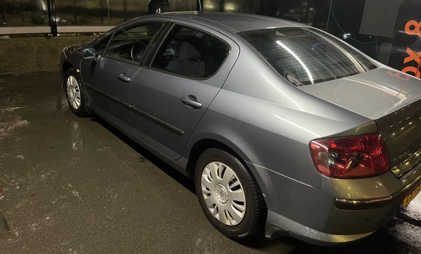 Peugeot 407 2007 Gasoline Manual Image 2